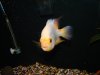 DSC01215.JPG