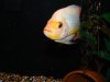 DSC01216.JPG