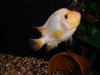 DSC01217.JPG