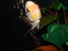 DSC01218.JPG