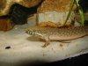DSC01188.JPG