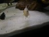 DSC01200.JPG