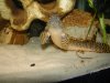 DSC01205.JPG
