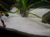 DSC01209.JPG