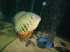 DSC01178.JPG