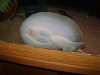 DSC01179.JPG