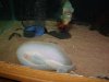 DSC01183.JPG