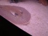 DSC01226.JPG