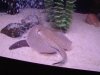 DSC01227.JPG