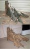 driftwood3.jpg