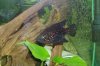 000_2462.jpg 000_2462.jpg