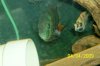 000_2481.jpg