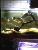 057.jpg