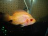 DSC01278.JPG