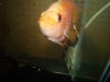 DSC01279.JPG
