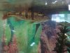 039.JPG 039.JPG
