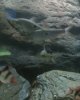 Tanks 022.jpg