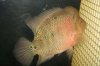 DSCF6689.jpg