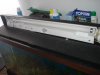 DSC01415.JPG