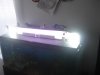 DSC01416.JPG