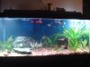 DSC01418.JPG
