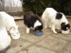 DSC01491.JPG