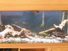New80GPics003.jpg
