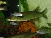 DSC02867.JPG