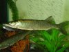 DSC02871.JPG