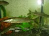 DSC02878.JPG