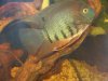 9APR2009 064.JPG