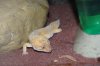 DSC_0115.JPG