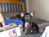 pictures 081.jpg