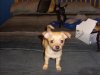 pictures 069.jpg