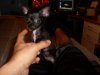 pictures 048.jpg