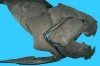 dunkleosteus terrelli fossil.jpg dunkleosteus terrelli fossil.jpg
