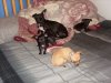 pictures 024.jpg