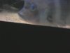pop_eye.jpg