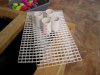 DSCN6941.JPG