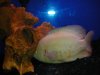 DSCN4295.JPG