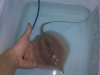 IMG00131.jpg