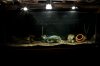 Umbee full tank shot.jpg