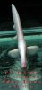 DSCN5783.jpg