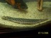100_5096.JPG