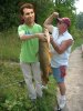 carp1.jpg