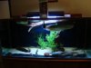 DSC01116.JPG