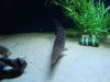 DSC01120.JPG