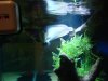 DSC01122.JPG