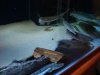 DSC01126.JPG