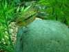 100_0162 (Small).jpg